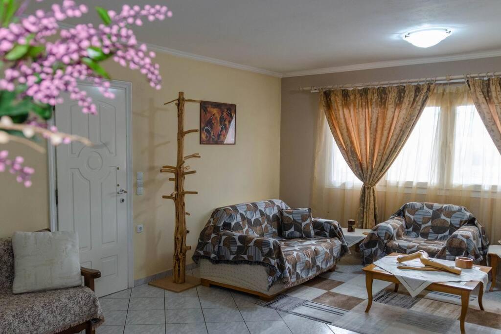 Dimitri'S Mountain House Apartment Karpenisi Bagian luar foto