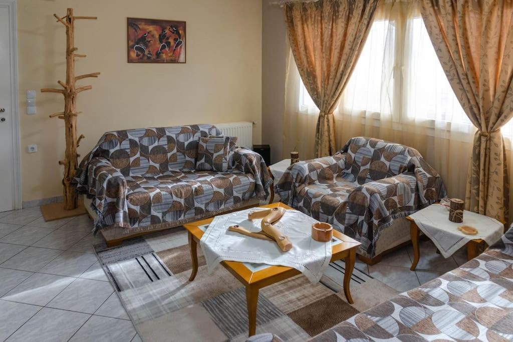 Dimitri'S Mountain House Apartment Karpenisi Bagian luar foto