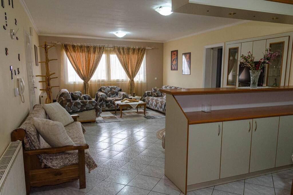 Dimitri'S Mountain House Apartment Karpenisi Bagian luar foto