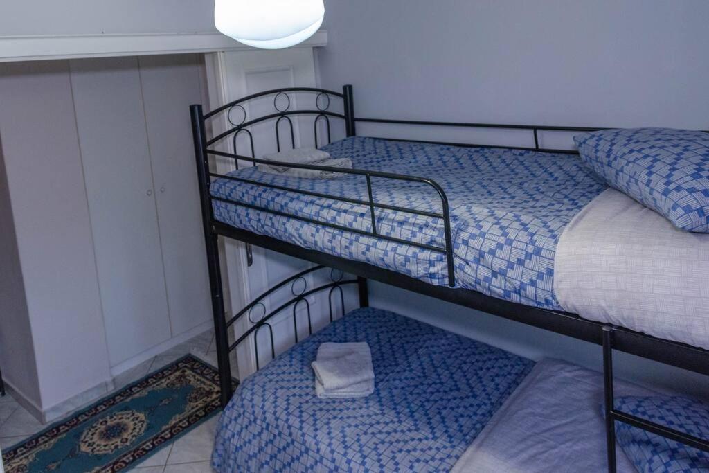 Dimitri'S Mountain House Apartment Karpenisi Bagian luar foto