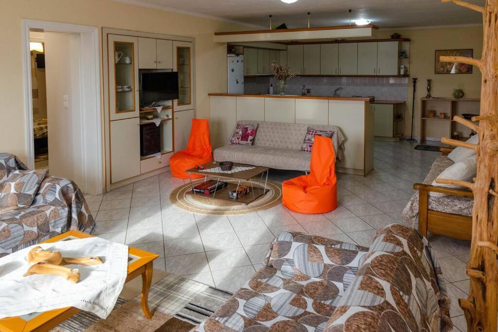 Dimitri'S Mountain House Apartment Karpenisi Bagian luar foto