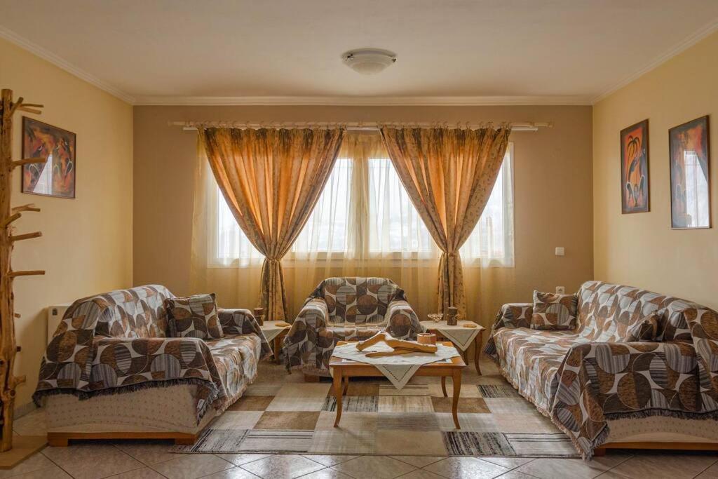 Dimitri'S Mountain House Apartment Karpenisi Bagian luar foto